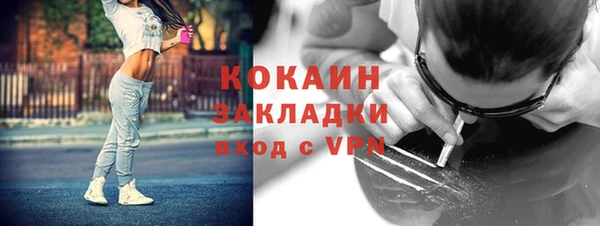 PSILOCYBIN Белокуриха