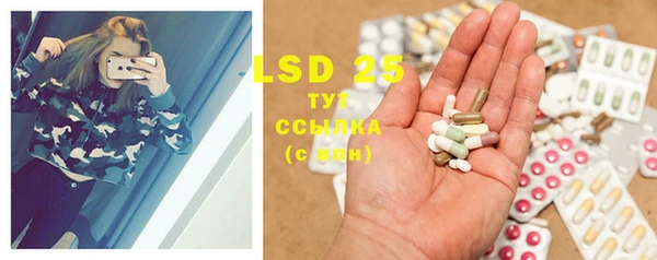 PSILOCYBIN Белокуриха