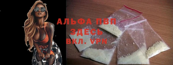PSILOCYBIN Белокуриха