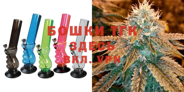 PSILOCYBIN Белокуриха