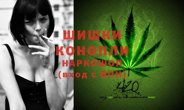PSILOCYBIN Белокуриха