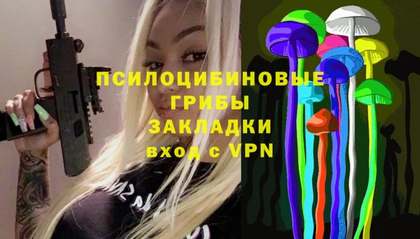 PSILOCYBIN Белокуриха