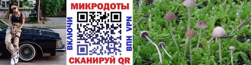 Псилоцибиновые грибы мицелий  купить   Красновишерск 